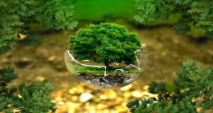 ENVIRONMENT PROTECTION SERVICES