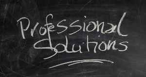 OTHER PROFESSIONAL & TECHNICAL SERVICES